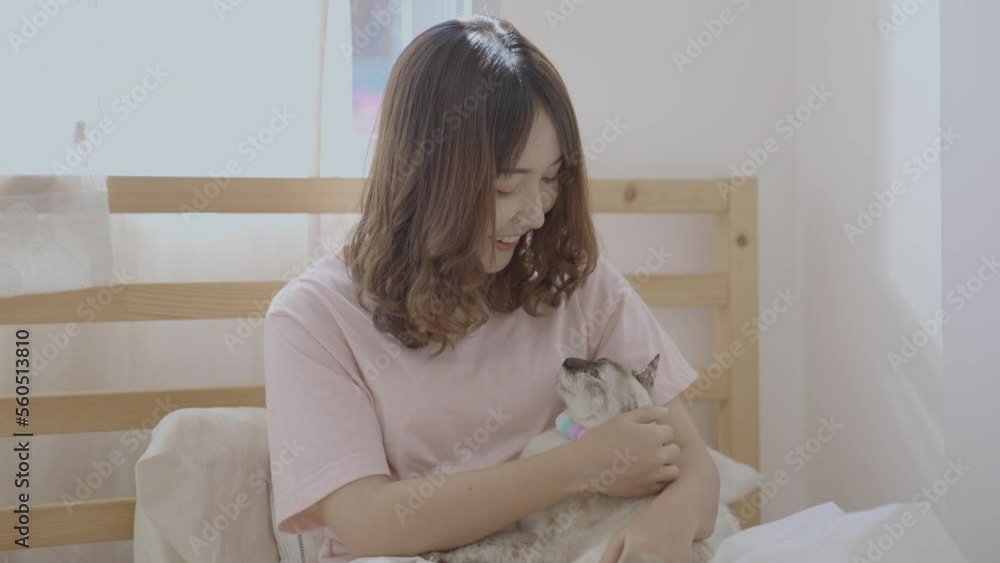 Holiday concept of 4k Resolution. Asian woman playing with her cat in the room. Holiday concept of 4k Resolution. Asian woman playing with her cat in the room.