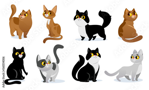 Cute kittens set isolated on white background. Vector collection of adorable cat breeds in cartoon style: British, Persian, siamese, sphynx. Amusing kitties in different poses with happy faces.