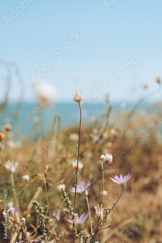 Close up of green flowers in front of blue sea