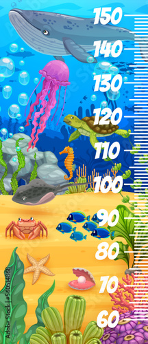 Kids height chart with underwater landscape and cartoon animals. Vector growth meter with whale, jellyfish, turtle and crab. Stingray, fishes, starfish and shell on sea bottom with corals and weeds