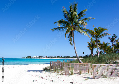 Paradise Island Beach With Leaning Palms