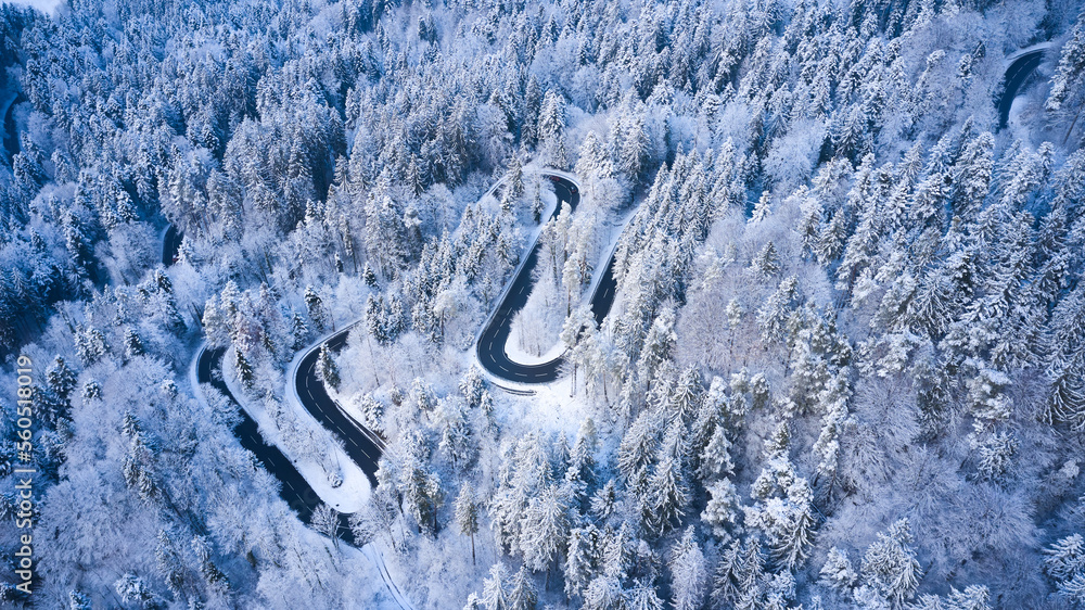 snow covered mountains forest