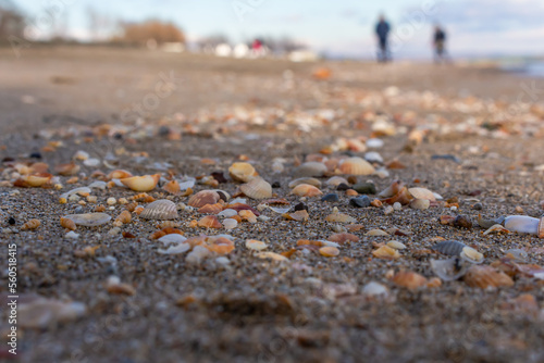 Beach, shells, stones and two humans walking in the bokeh
