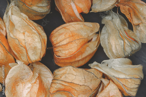 Physalis or Chinese Lantern Plants and maple leaves. Natural colorful autumn decorations: Physalis berries are scattered on a dark aged background, close-up