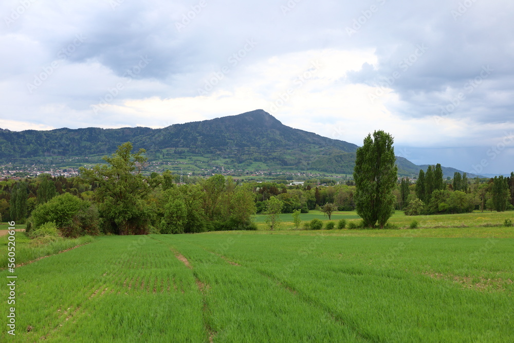 The Green Valley is a valley in the Chablais Alps, about 15 kilometres south of Thonon-les-Bains in Haute-Savoie
