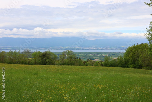 View on a valley in the department of Haute-Savoie