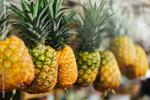pineapples hung for sale in fruit market selective focus