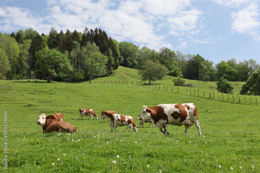 View on a valley in the department of Haute-Savoie