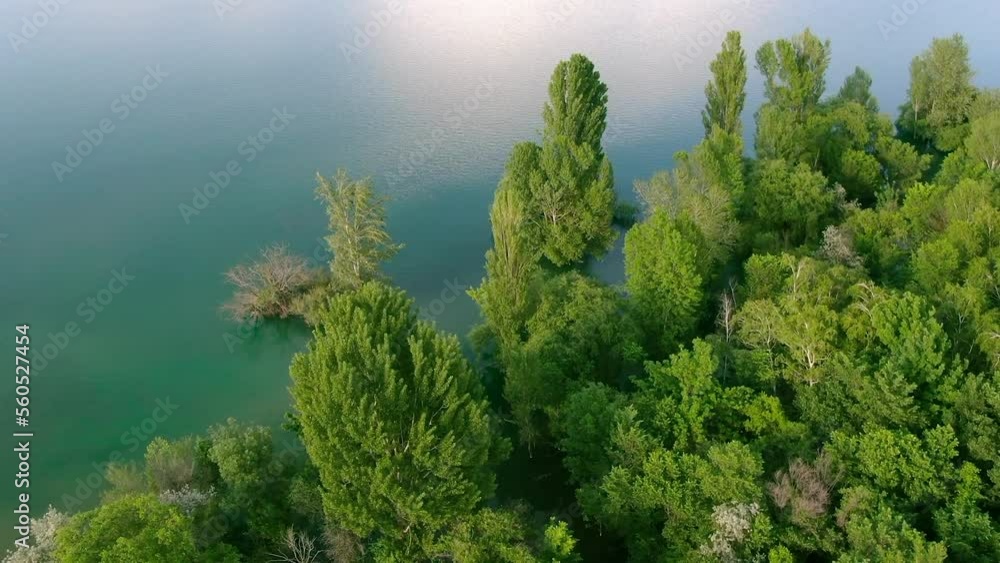Aerial view of water reservoir with green trees Aerial view of water reservoir with green trees
