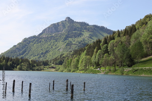 Fototapeta Naklejka Na Ścianę i Meble -  View on the Vallon lake which is a lake at Bellevaux in the Haute-Savoie department of France.