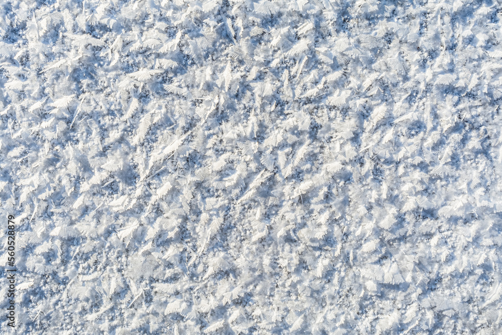Texture of snow and ice crystals in the form of feathers and flakes. Winter abstract background
