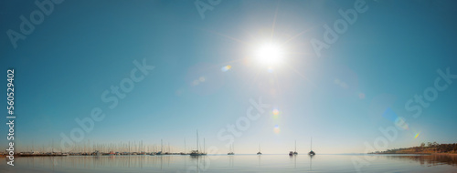 Boats anchored in a calm marina on a sunny day, Geelong, Australia photo