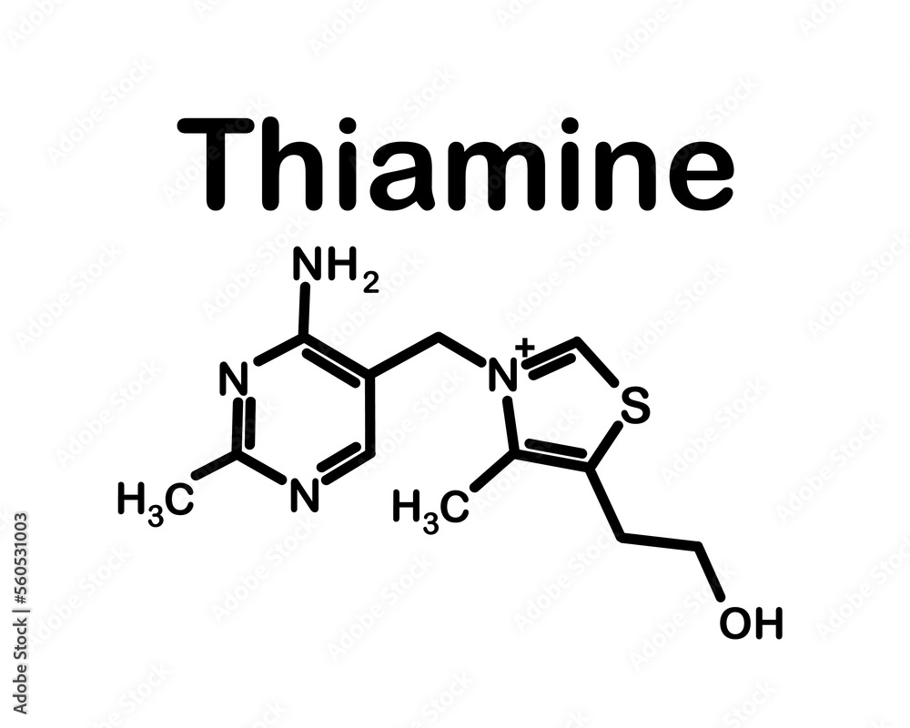 Chemical Formula Of Thiamine Vitamin B1 Vector Illustration Stock common-alkyl-groups