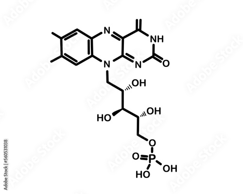 Chemical formula of flavin mononucleotide. Vector illustration photo