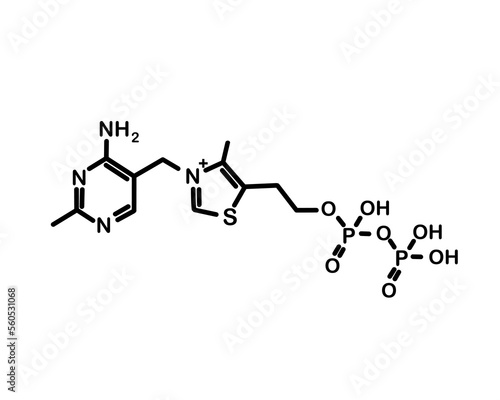 Chemical formula of thiamine pyrophosphate. Vector illustration