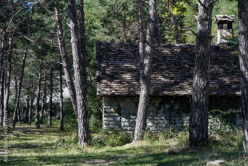 An old cabin surrounded with trees in the forest at Spain