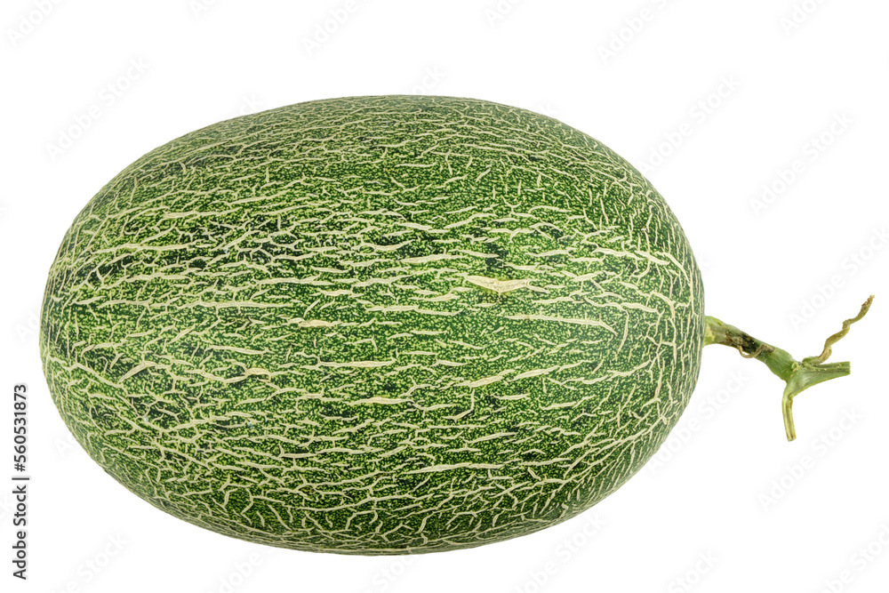Fototapeta premium Green ripe melon with transparent background