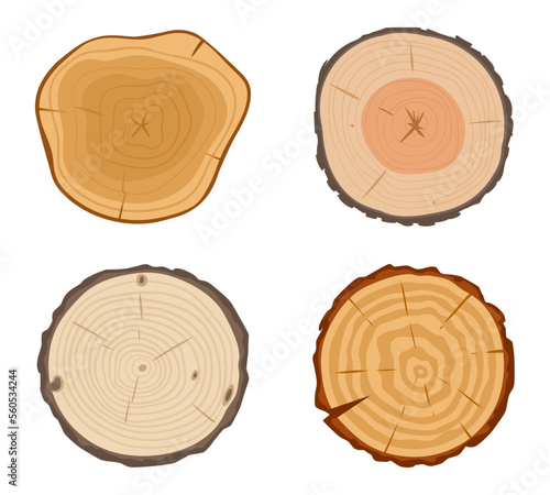 Cartoon tree trunk cuts. Round pine, birch or oak slices, lumber wooden industry materials, wood lumber saw cuts flat vector illustration set on white background