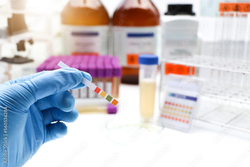 Urine and universal indicator paper, Litmus Paper of ph Value Measurement Urine and universal indicator paper, Litmus Paper of ph Value Measurement