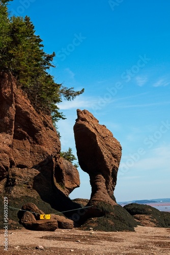 E.T Rock at Hopewell Rocks, New Brunswick.