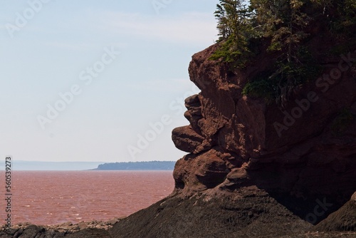 The brown, murky, water of the Bay of Fundy at Hopewell Rocks, New Brunswick.