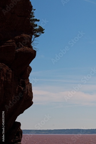 Rock face along the Fundy coast at Hopewell Rocks, New Brunswick.