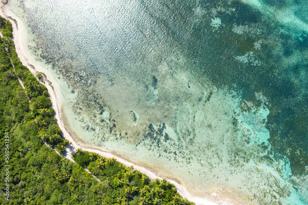 Bounty and pristine tropical shore with coconut palm trees and turquoise caribbean sea. Aerial view from drone