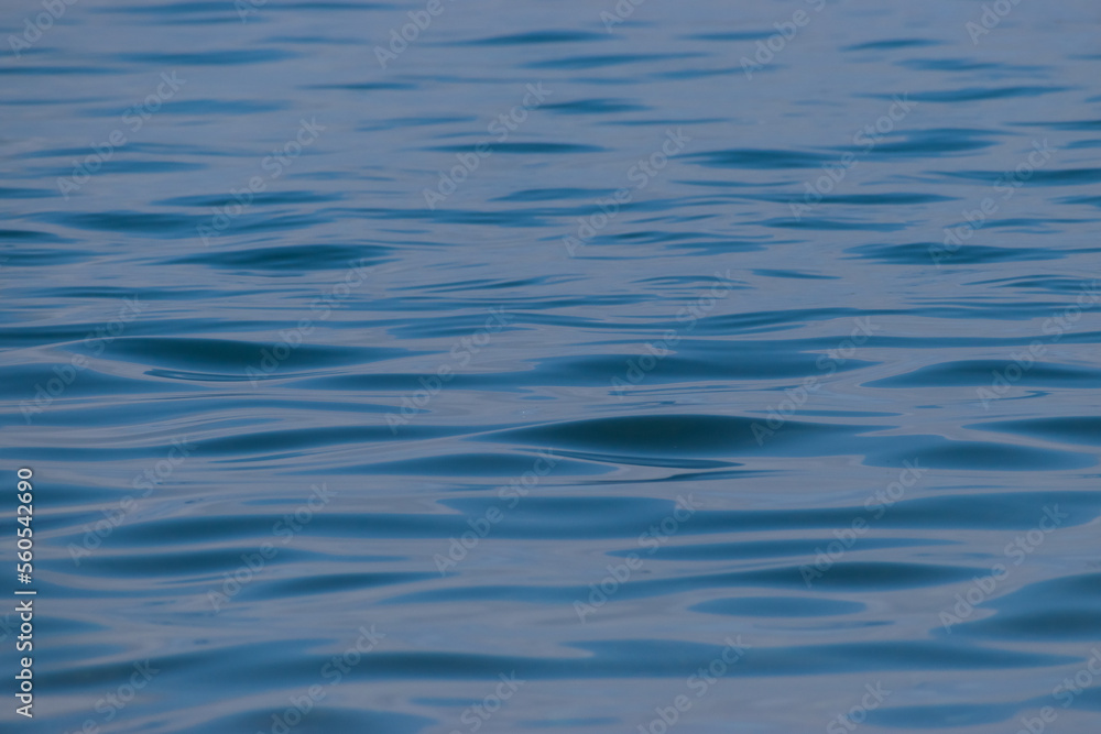 Naklejka premium Channel Islands National Park, Santa Cruz Island off the coast of California, USA