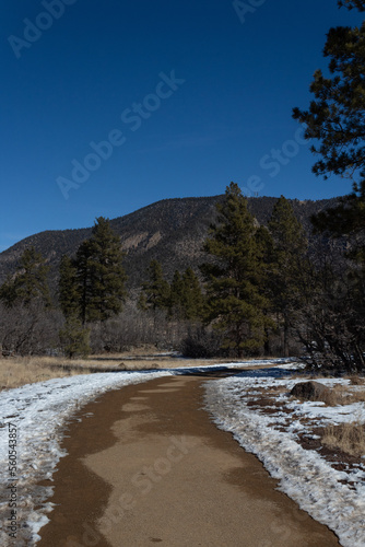 sonwy road in the mountains photo