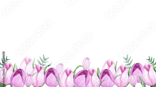 Hand painted watercolor pink tulips  flowers border on white background