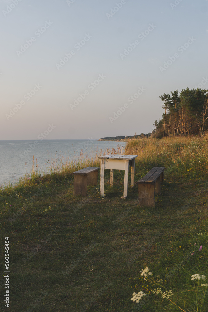 bench on the shore of sea