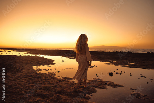 A gorgeous girl in a dress on the background of the sunset on the background of the sea, a woman with long hair on vacation. Incredible nature, the ocean.