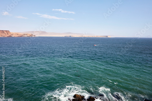 Paracas © max