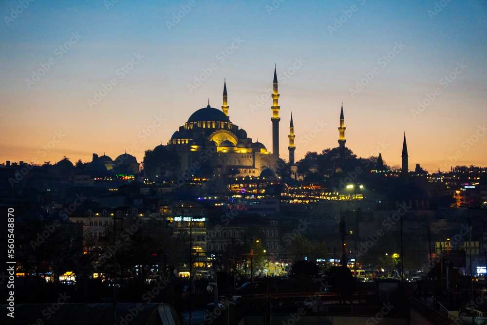 Obraz premium blue mosque at night