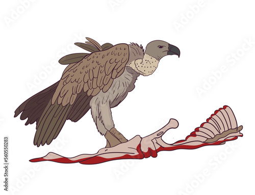animal carcass meat being eaten by a vulture. vector
