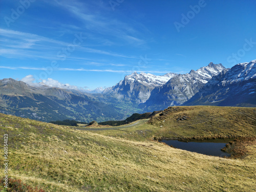 Snow mountain view with meadow and blue sky