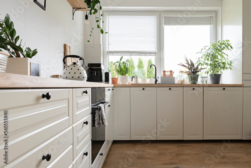 Modern kitchen with kitchen furniture with white cabinets and drawers. Wooden countertop and plants in stylish interior of kitchen. 