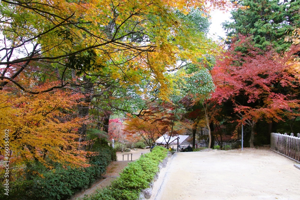 下関市の東行庵の紅葉風景