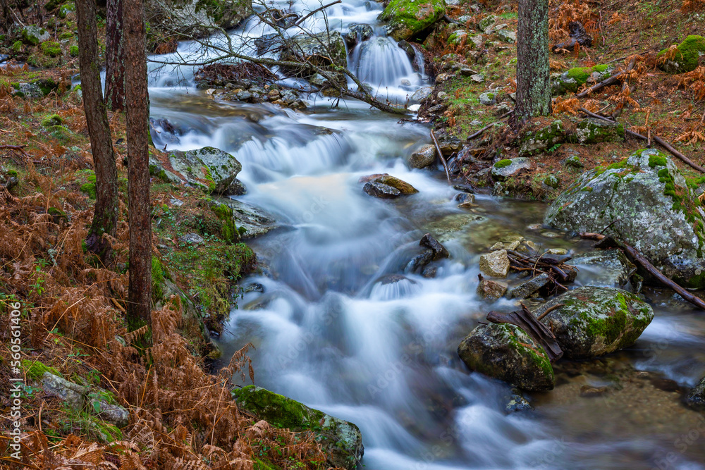 Wild mountain river. Mountain landscape. Autumn colors in the mountains of Madrid. Whitewater waterfalls in the high mountains.