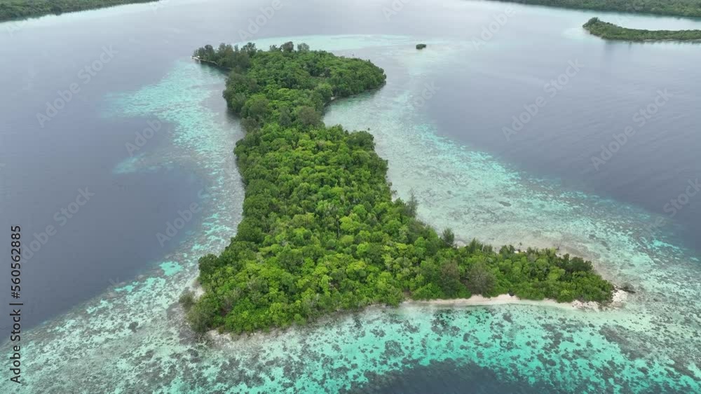 A scenic tropical island is fringed by a healthy coral reef in the ...