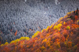 golden autumn in the mountains, snow and yellow trees