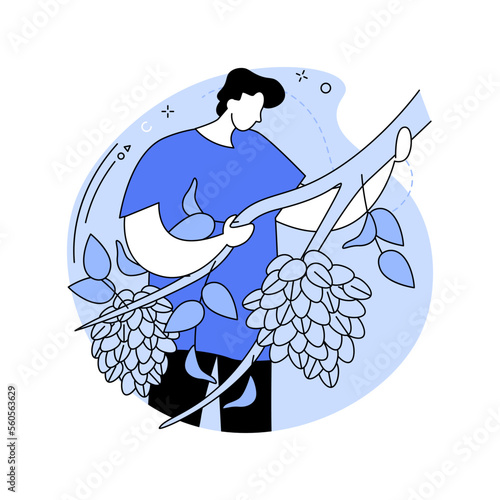 Pistachios growing isolated cartoon vector illustrations.