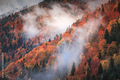 golden autumn in the mountains, snow and yellow trees