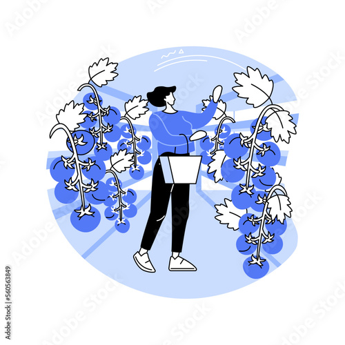 Tomato greenhouse isolated cartoon vector illustrations.