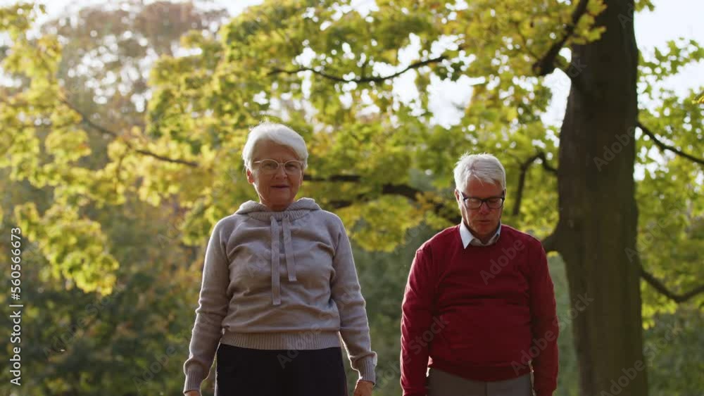 Senior man and woman doing breathing exercises in the park . High quality 4k footage Senior man and woman doing breathing exercises in the park . High quality 4k footage