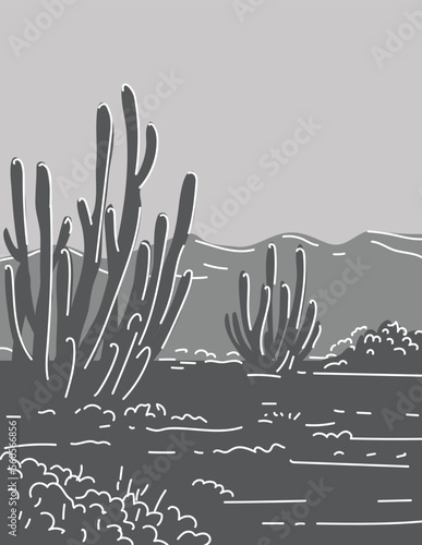 Mono line illustration of Organ Pipe Cactus National Monument located in extreme southern Arizona, United States done in monoline line drawing art style with grayscale shading.
