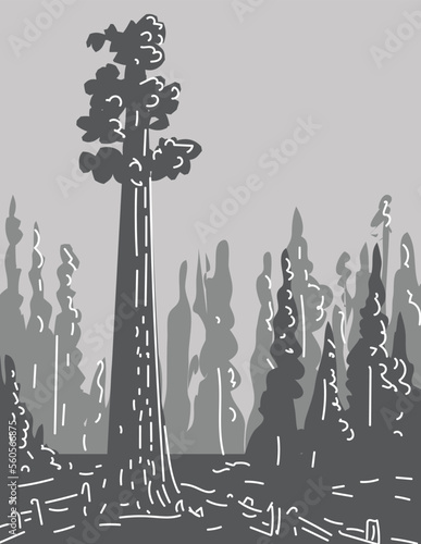 Mono line illustration of General Sherman tree in Sequoia National Park in southern Sierra Nevada mountains, California, United States done in monoline line drawing art style with grayscale shading.
