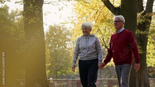Loving old couple strolling through the park and holding hands. High quality 4k footage