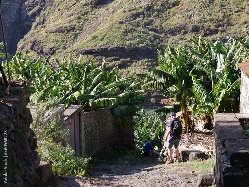 Bananplantagen kurz vor Tazacorte auf La Palma photo