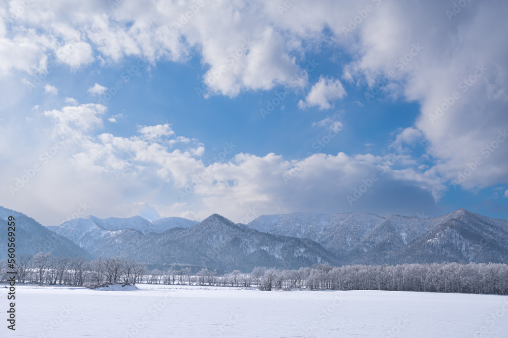 冬の晴れた日の雲の浮かぶ青空、山を背景にした雪に覆われた野と霜で白くなった木々。